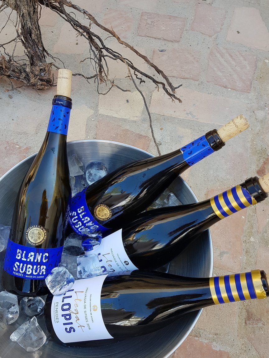 TAST I VINS