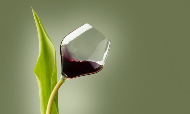 Vino y Biotecnología: La Aplicación de la Biotecnología en la Enología ...